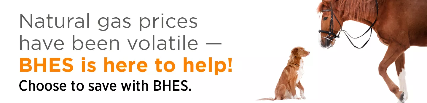 Natural gas prices have been volatile - BHES is here to help!